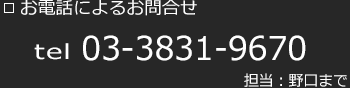 電話によるお問合せ　03-3831-9670